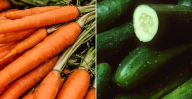 Difference Between Carrots and Cucumbers