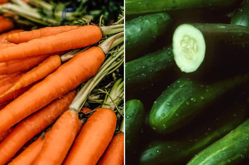 Difference Between Carrots and Cucumbers