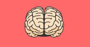 The mind and the brain are two phrases usually said to mean the same thing when made use of in a colloquial connotation. There is a significant disparity between the mind and the brain.