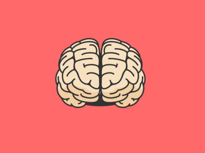 The mind and the brain are two phrases usually said to mean the same thing when made use of in a colloquial connotation. There is a significant disparity between the mind and the brain.