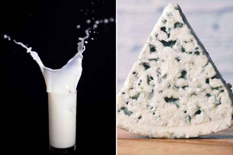 Although cheese and milk have the same source, they have some discrepancies, such as the flavour, how it is prepared, their nutritional facts, and their nature.