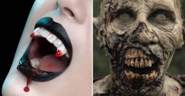 There is a load of disparities between the two words vampires and zombies. Even though the two terms come back from the condition of death, the procedures of coming back from death vary in the cases of these two.