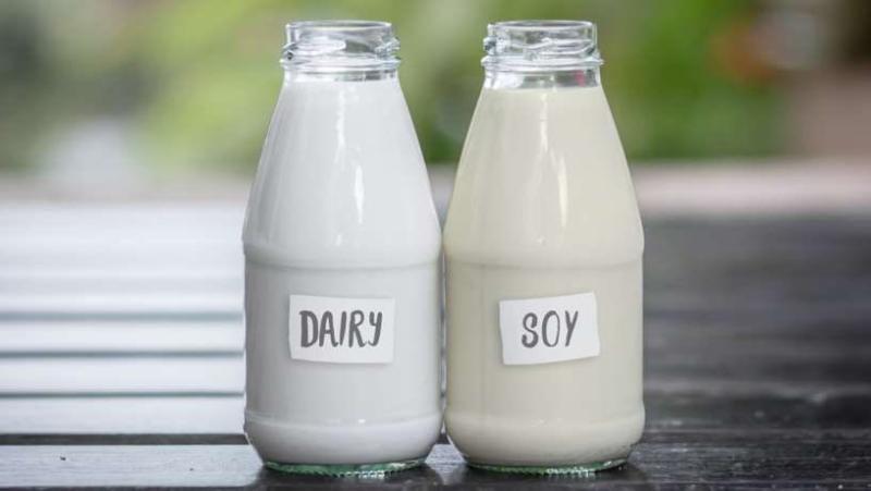 Difference Between Cow Milk and Soy Milk