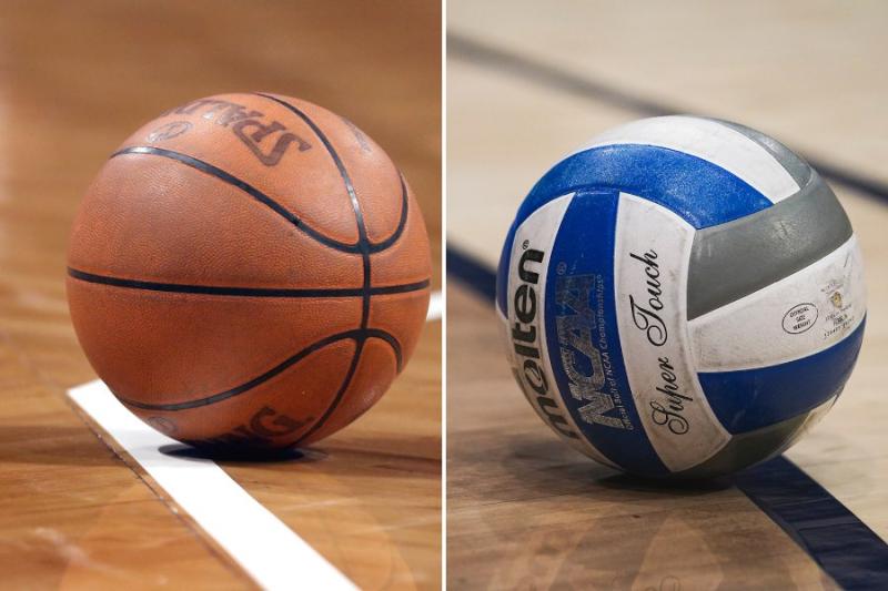 Difference Between Basketball and Volleyball