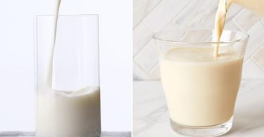 Difference Between Hollandia and Soy Milk