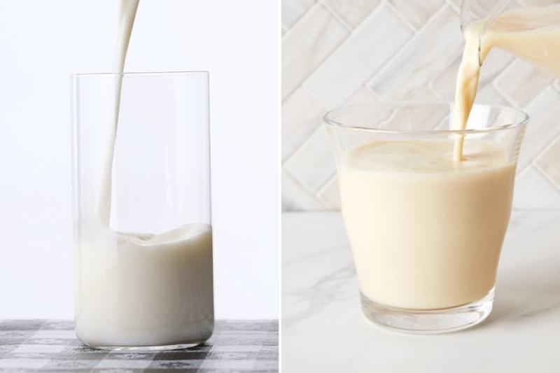 Difference Between Hollandia and Soy Milk