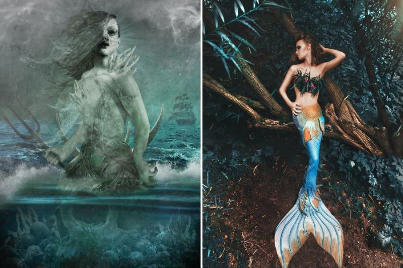 Difference Between Mermaid and Siren