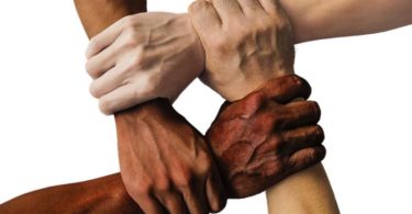 Multiculturalism and assimilation are distinct methods for integrating diverse populations into a society. The primary difference between the two resides in their underlying ideologies and how they foster social cohesion.