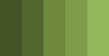 Two different shades of green are olive green and lemon green. Lemon green is associated with spring and new growth, whereas olive green is associated with military uniforms and camouflage. Lemon green is a bright, cheerful shade of green with a warm, yellow undertone, whereas olive green is a darker, muted green with a hint of brown or grey.