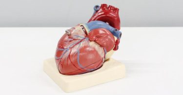 An irregular increment in the heart is described as cardiomegaly. Cardiomegaly is described as a clinical indication of cardiomyopathy. Cardiomyopathy, on the other hand, is a hetero heterogeneous cluster of diseases of the myocardium connected with mechanical and electrical dysfunction that often display improper ventricular hypertrophy or dilatation, and they may, as a result of types of triggers that are continually genetic.